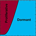 2014_10_31_Phase-diagram_Torquato-120 2014_10_31_Phase-diagram_Torquato-120