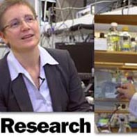 Research video Research video