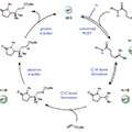 2015_07_30_Knowles_chemistry_120 2015_07_30_Knowles_chemistry_120