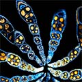 2014_07_artofsci 2014_07_artofsci